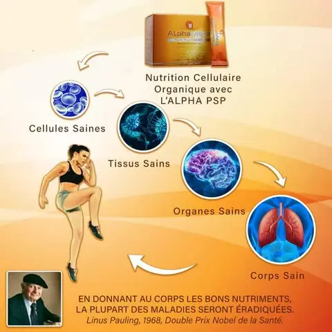 Alpha meta croissance cellulaire.webp