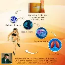 Alpha meta croissance cellulaire.webp